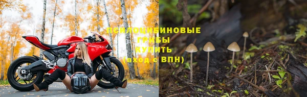 дмт Балабаново